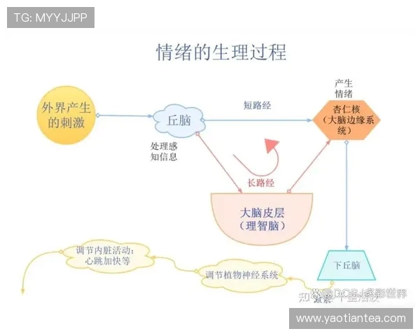 乔哈特揭露波罗被换下场后的失控情绪与疯狂行为分析